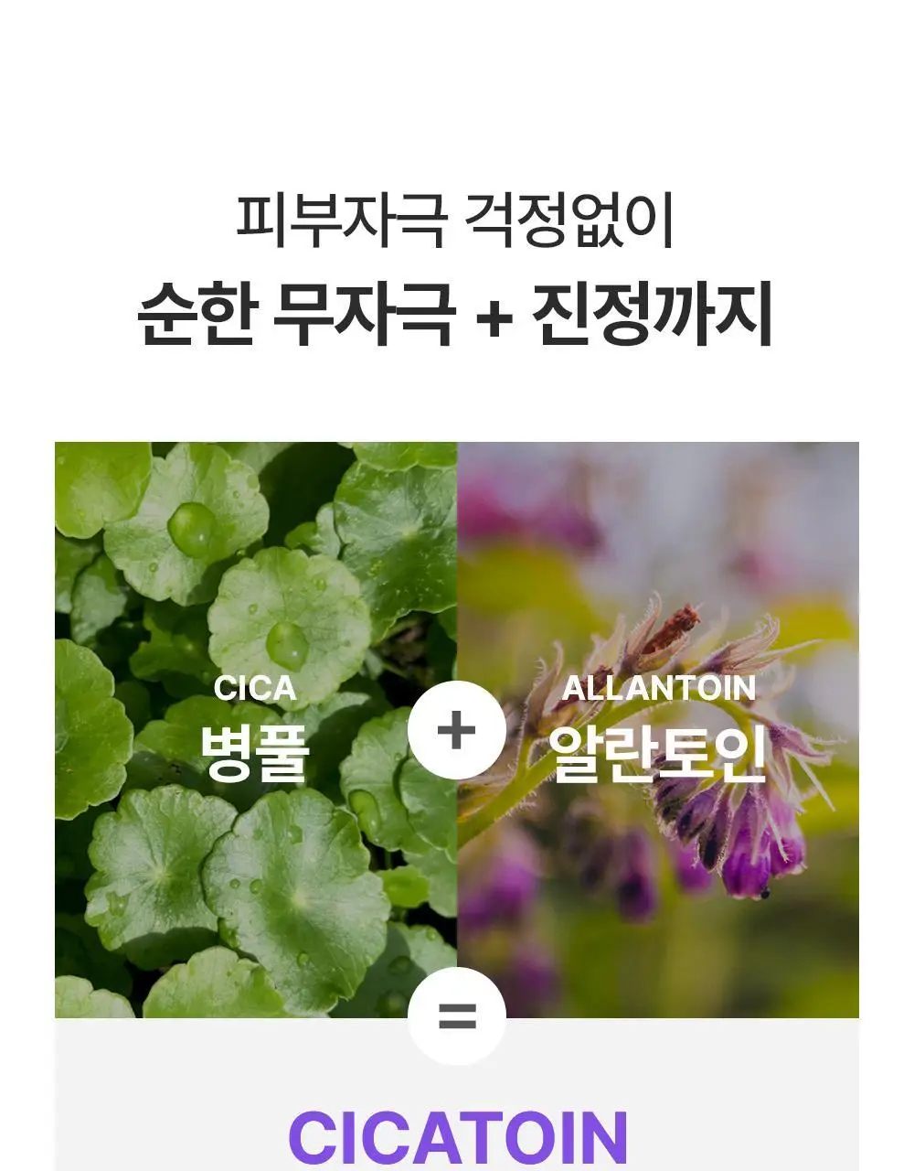 [잡티미백케어] 성분에디터 머루포도 비타 C 잡티크림 50g 상세페이지 87